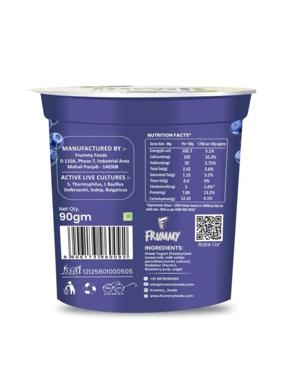 Blueberry Greek Yogurt