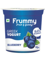 Blueberry Greek Yogurt