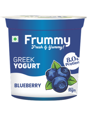 Blueberry Greek Yogurt