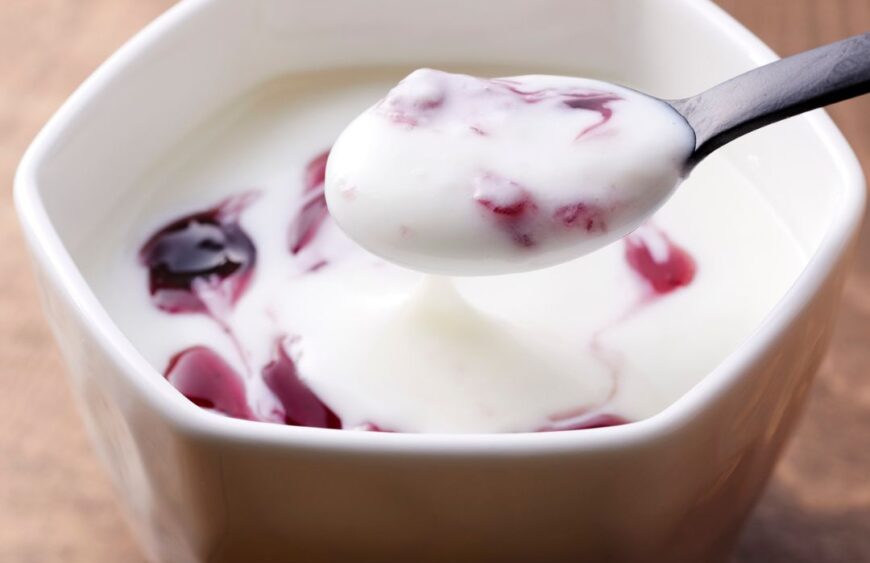 frummy greek yogurt mohali