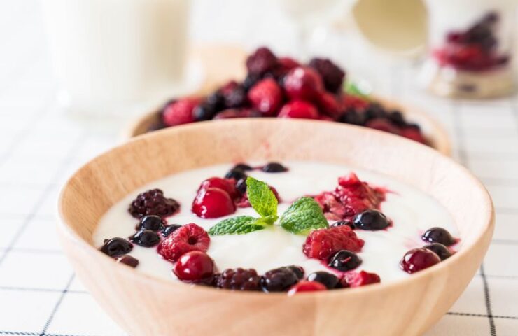 Greek Yogurt Chandigarh