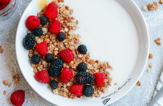 greek yogurt without sugar